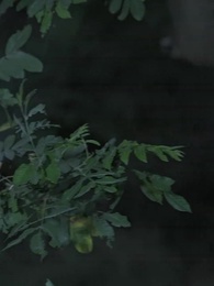 我和美女上司的荒島生涯 - Episode 94