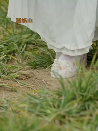 第35話 - 鳳凰伝～姫選びが分かつ双生の運命～