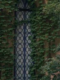 Mamãe, precisamos do papai! - Episode 14