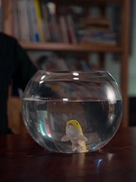 仙二代的日常生活 - Episode 38