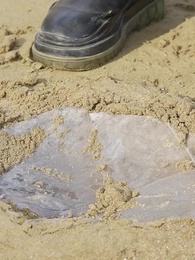 我和美女上司的荒島生涯 - Episode 25