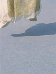 Rich Dad, Dirty Money - Episode 36