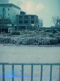 Episode 32 - Frozen Endgame: It's You or No One