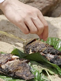 我和美女上司的荒島生涯 - Episode 8