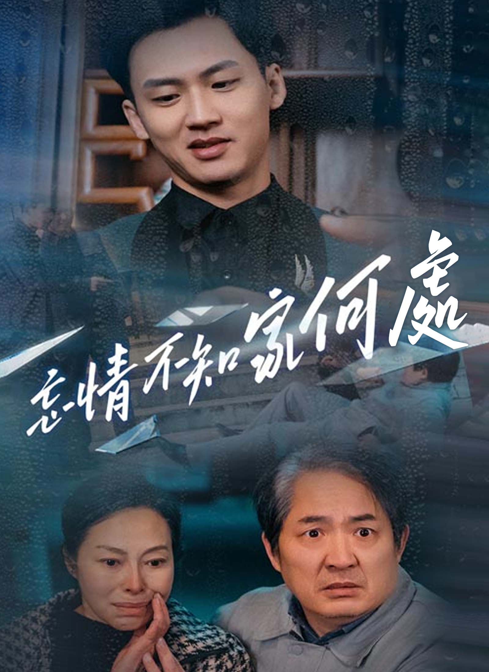 《忘情不知家何處》封面