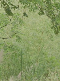 我和美女上司的荒島生涯 - Episode 74