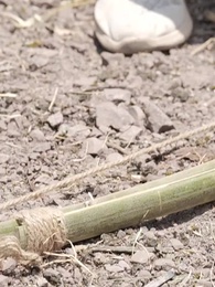 我和美女上司的荒島生涯 - Episode 48