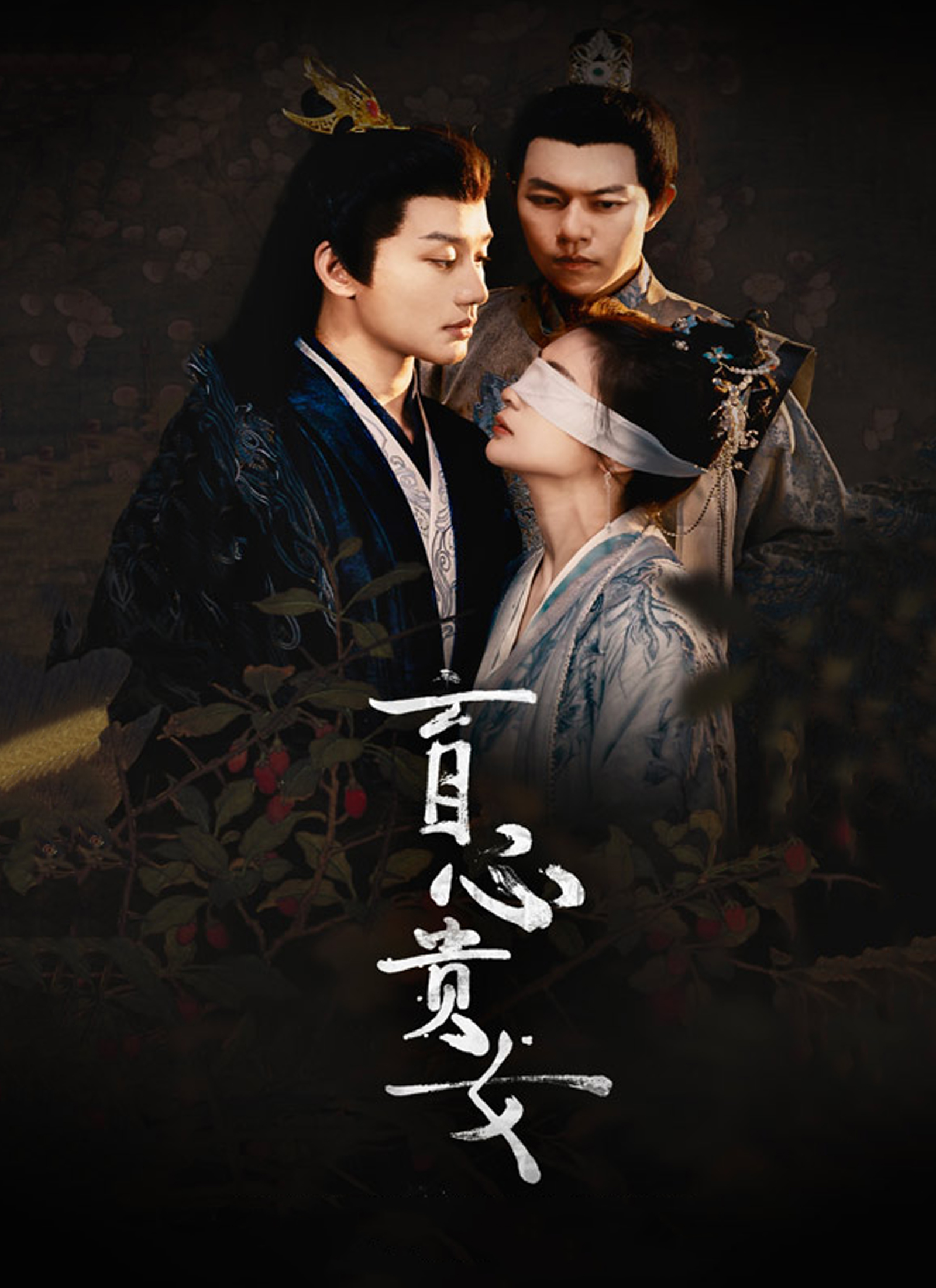 《盲心貴女》封面