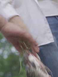 第91集 - 我和美女上司的荒島生涯