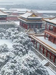 第26話 - 鳳凰伝~姫選びが分かつ双生の運命~