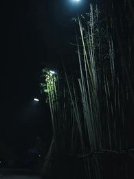 第39集 - 未來預言家