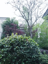 未來預言家 - Episode 30