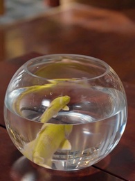 仙二代的日常生活 - Episode 54