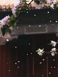 第4集 - 清宮辭之不負韶華