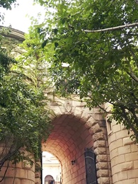 Mamãe, precisamos do papai! - Episode 67