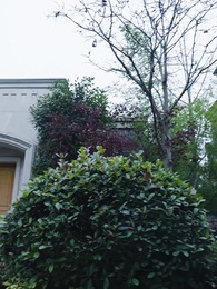 第45集 - 未來預言家