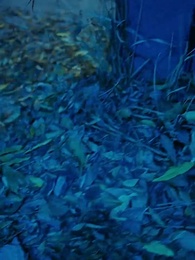 第1集 - 天命神侯