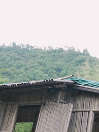 第59集 - 我和美女上司的荒島生涯