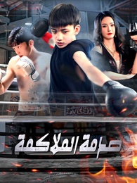 صدمة الملاكمة