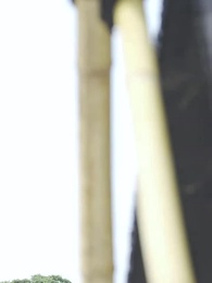 第15集 - 我和美女上司的荒島生涯