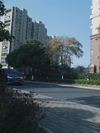 第27集 - 未來預言家