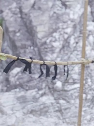 第27集 - 我和美女上司的荒島生涯