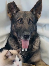 仙二代的日常生活 - Episode 46