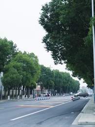 第47集 - 未來預言家