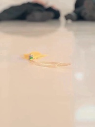 仙二代的日常生活 - Episode 17