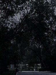 Mamãe, precisamos do papai! - Episode 66