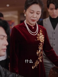 第34集 - 南來東往之無賊