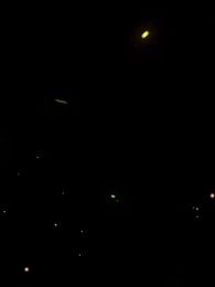 第1集 - 未來預言家