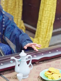 第27集 - 冷王盛寵法醫妃