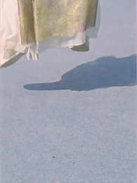 第36集 - 家父張二河