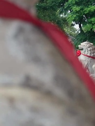 서로 다른 길 위에 - Episode 14