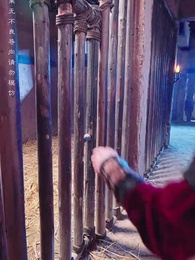 第85集 - 冷王盛寵法醫妃