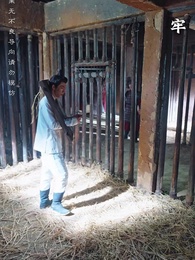 第79集 - 冷王盛寵法醫妃