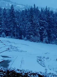 Alpha Kralı'nın 3 Defa Reddedilen Eşi - Episode 39