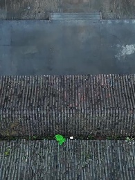 Tập 11 - Người Thân Thành Người Dưng