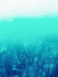 Alpha Kralı'nın 3 Defa Reddedilen Eşi - Episode 5