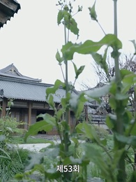 53화 - 고대로 돌아가 환관이 되다