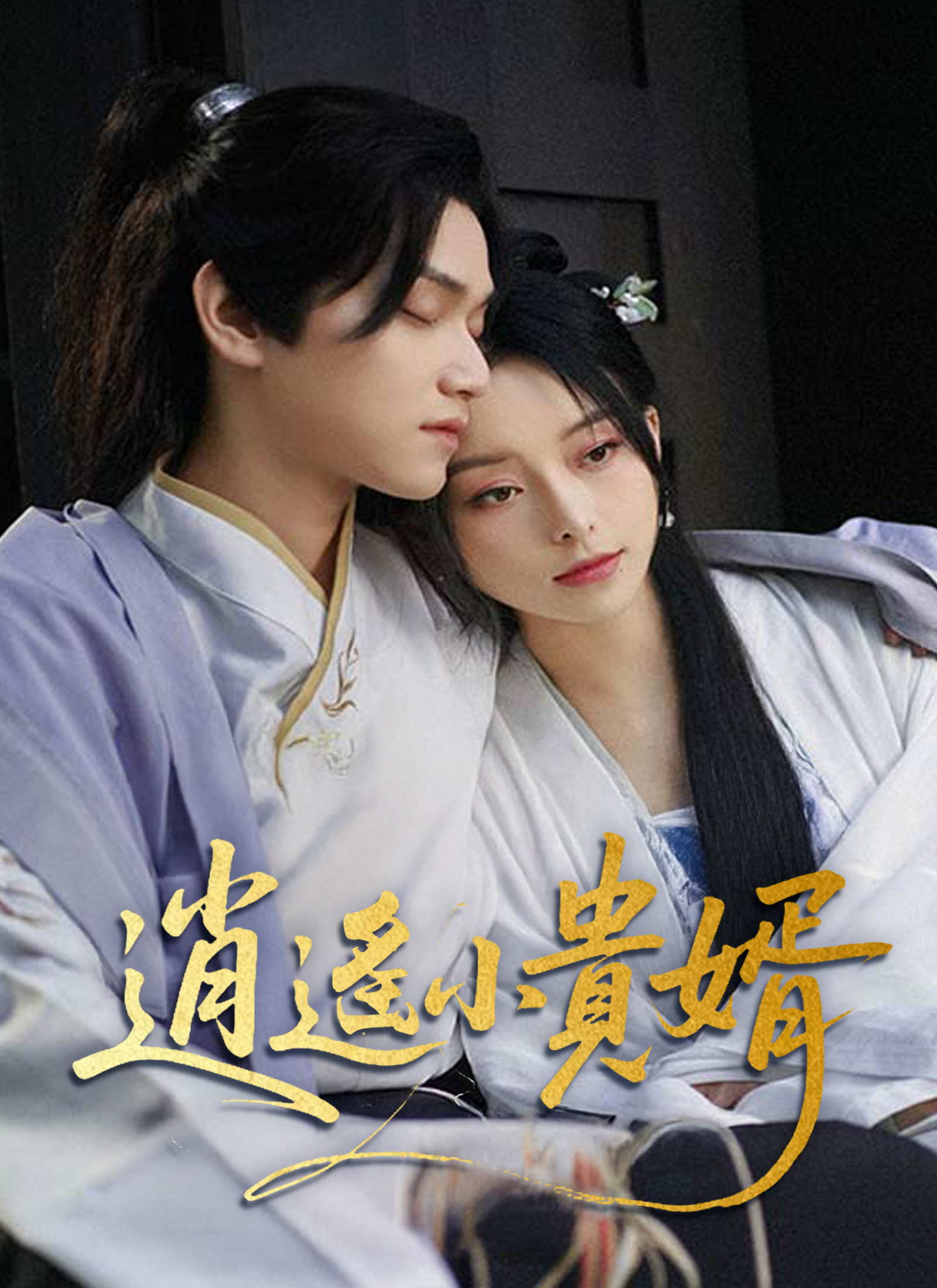《逍遙小貴婿》封面