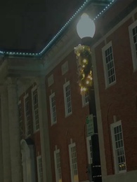 Bölüm 29 - Alpha Kralı'nın 3 Defa Reddedilen Eşi