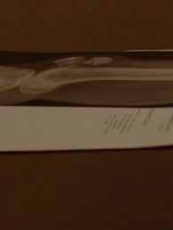 Alpha Kralı'nın 3 Defa Reddedilen Eşi - Episode 38