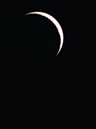 Alpha Kralı'nın 3 Defa Reddedilen Eşi - Episode 51