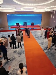 That 'Nobody' Has a Body Count - Episode 9