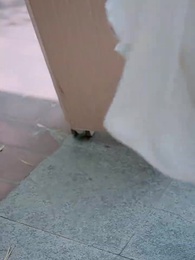 El Engaño del Amor Perfecto - Episode 10