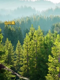 第1話 - 隠龍の父、乾坤を動かす