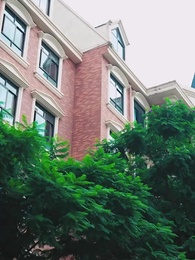 Sessiz Çiçek ve Alfalar - Episode 66