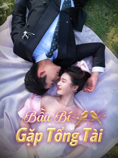 Bầu Bí Gặp Tổng Tài
